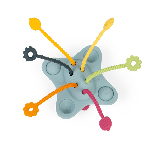 Pull, Push and Pop Sensory Toy van bigjigs via toys2hands