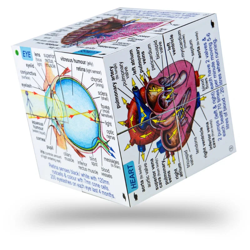 zoobookoo, kubusboek, human body