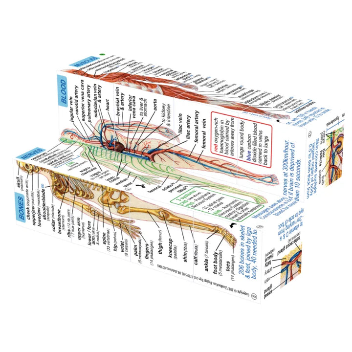 Human body, kubusboek zoobookoo
