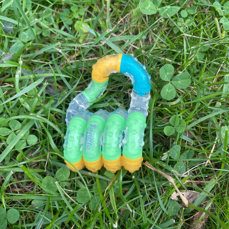 tangle think, groen, blauw geel in gras met klaver, grote therapy tangle