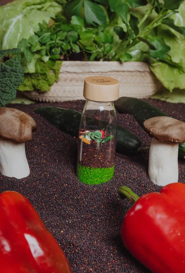 Sensory sound bottle tucan