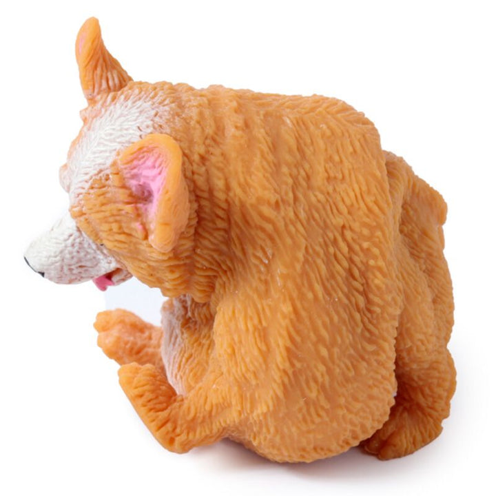 Stretchy Corgi hond
