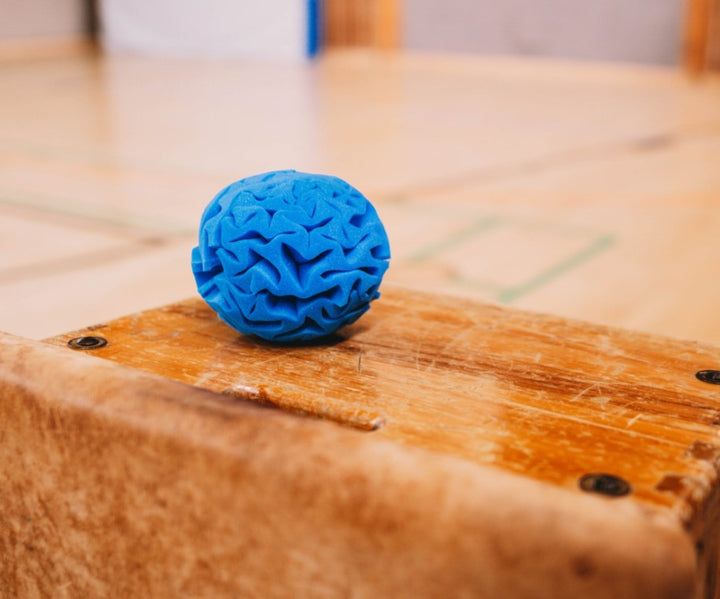 blauwe sneeuwbal, blauer trockener schneeball, duurzame gymbal, motoriekspeegoed