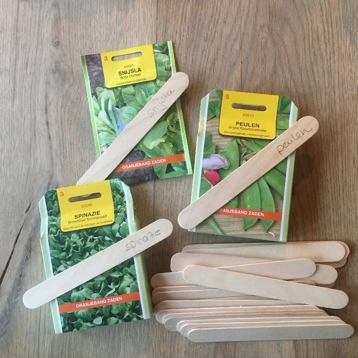 JToys Ijsstokjes groot natuur als labels voor zaadjes, moesttuin