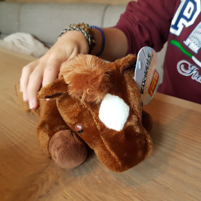 Toys42Hands Touchimal paard