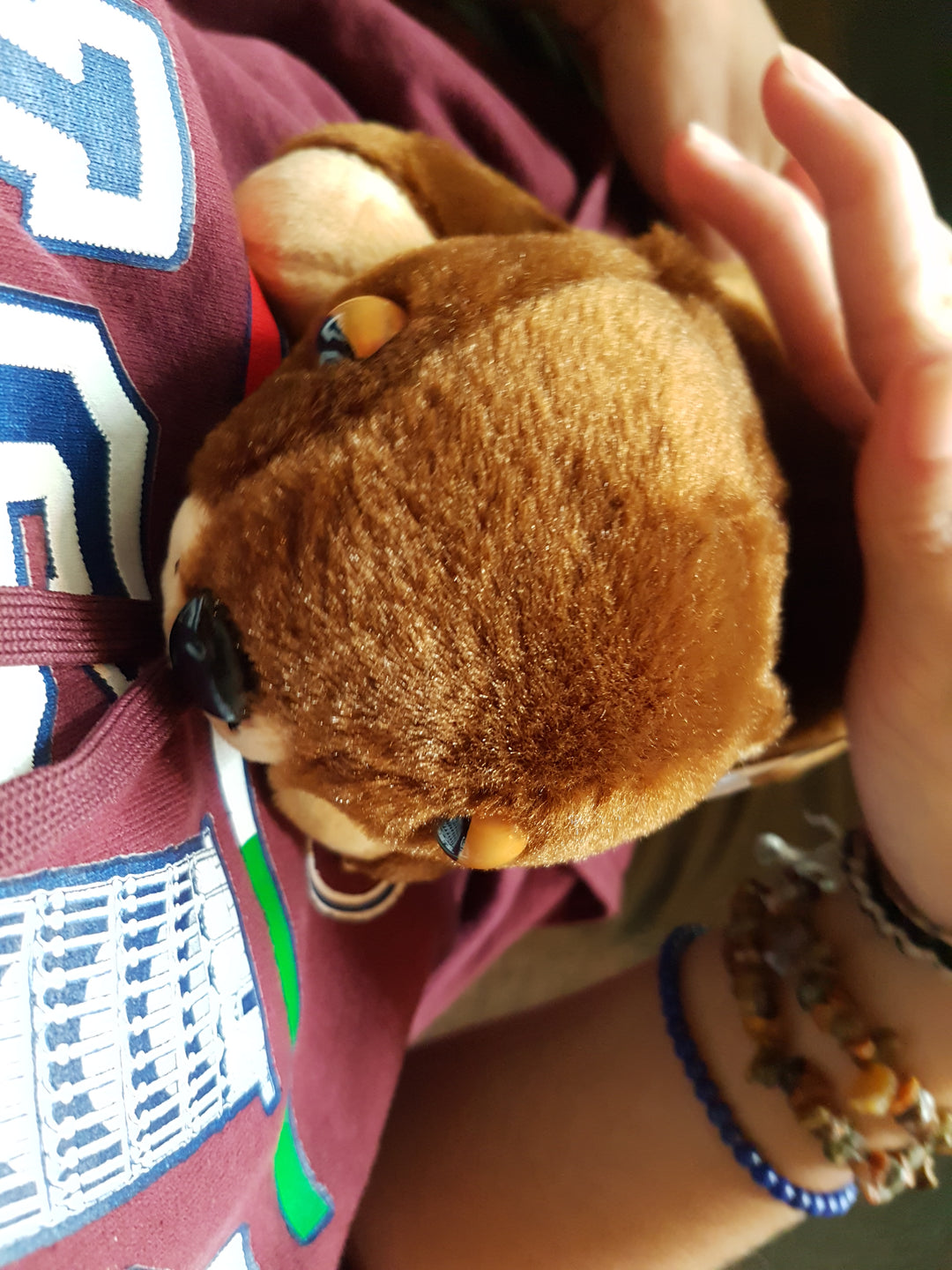 Toys42Hands Touchimal marmot