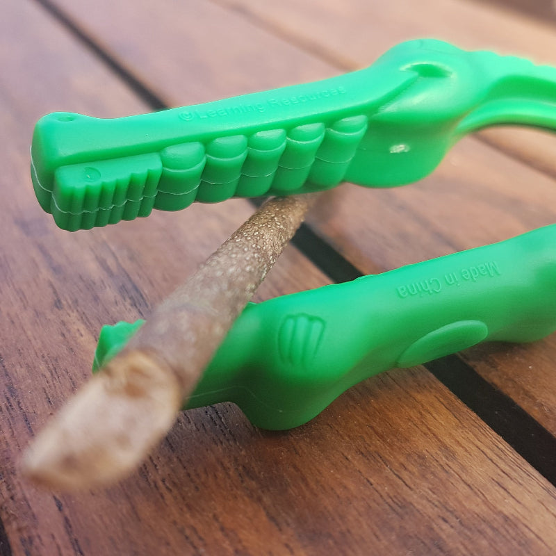 Learning Resources Alligator pincetten, foto met een tak