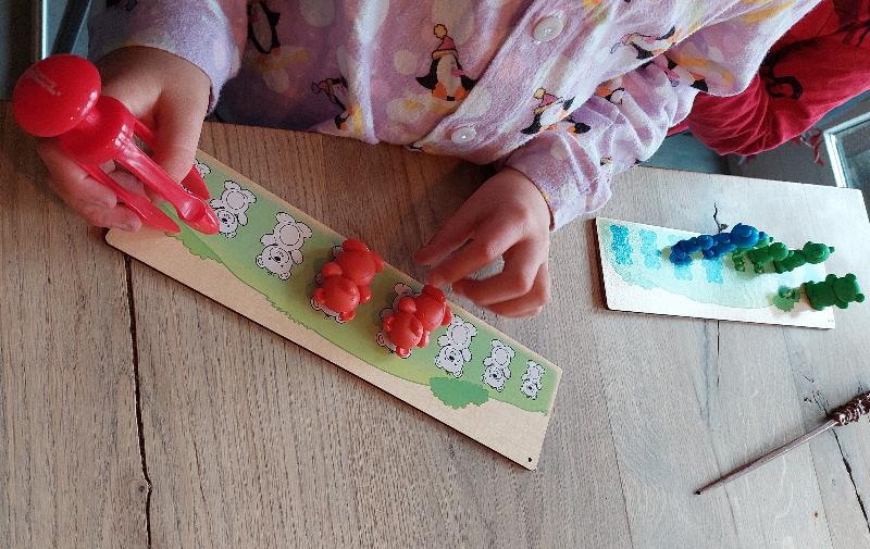 Toys42Hands Beren sorteerspel