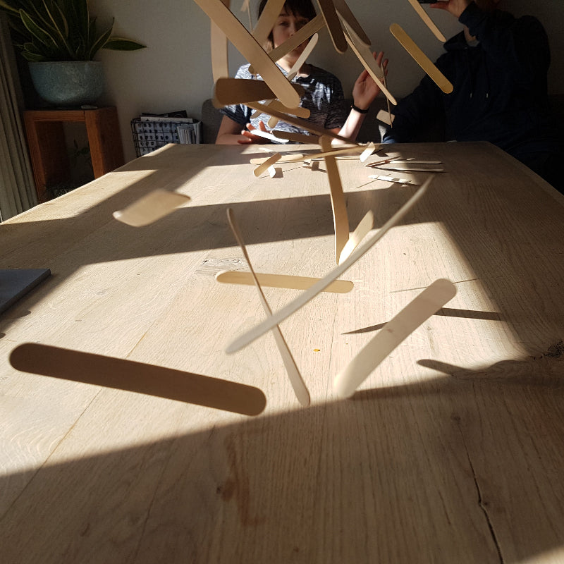 JToys Ijsstokjes groot natuur