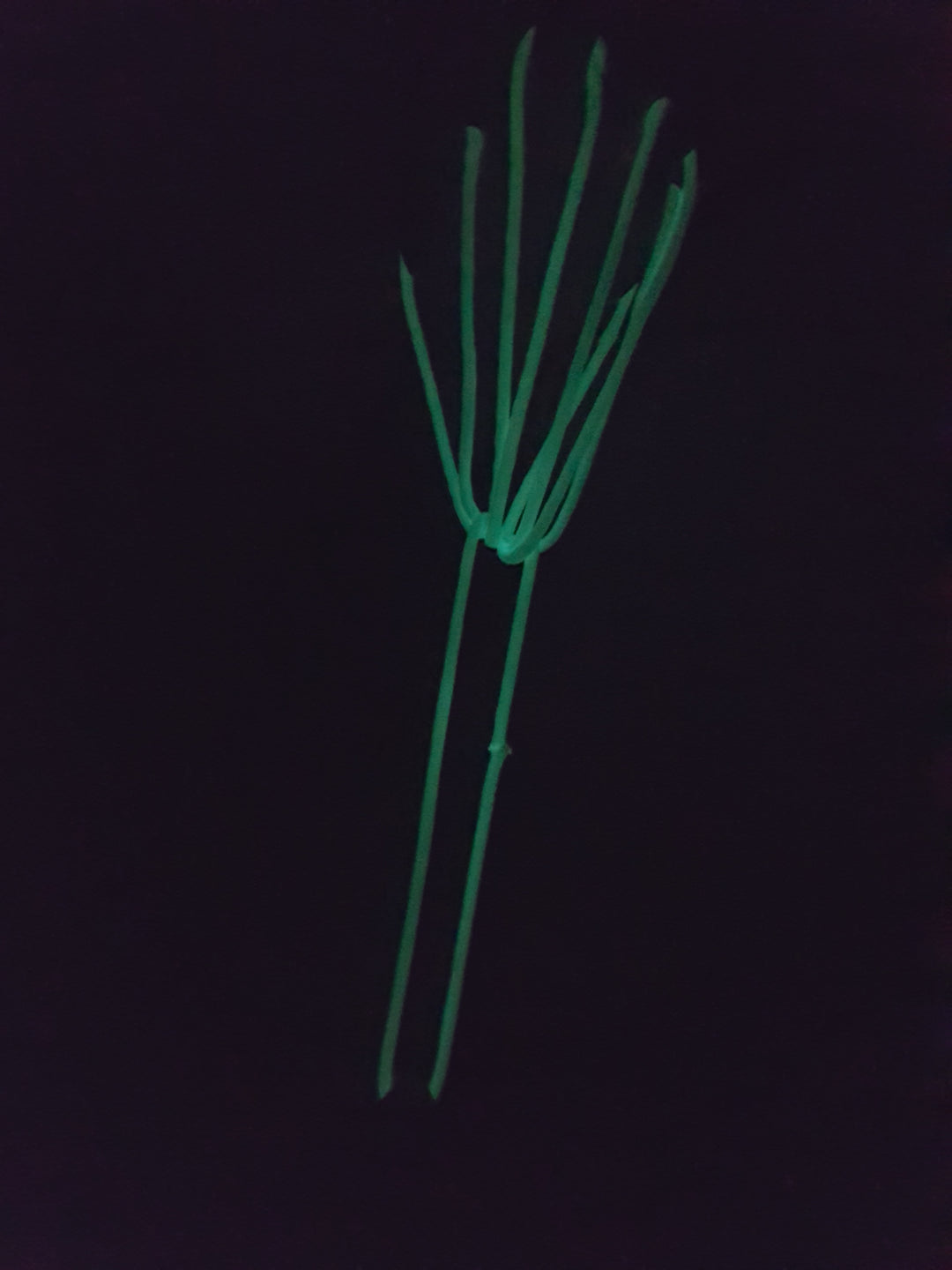Toys42Hands Vinger elastiek touwspel glow in the dark