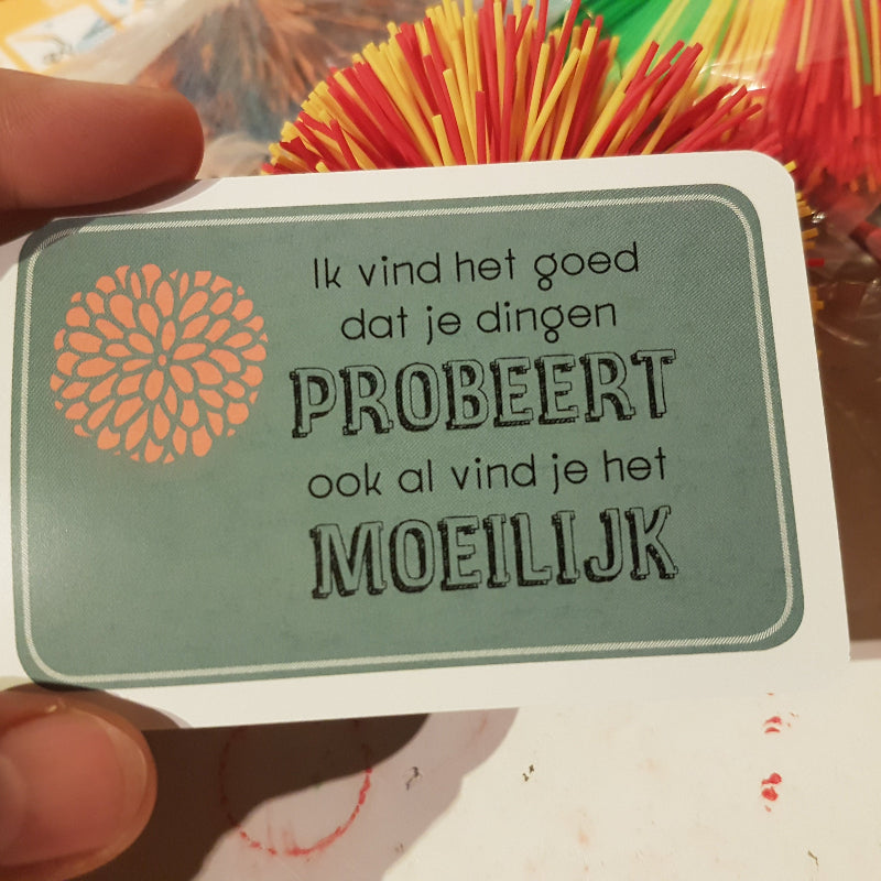 Toys42Hands Complimentenspel autisme
