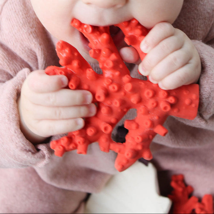Twee babyhandjes grijpen de natuurlijke rubber koraal bijtring en brengen deze naar de mond